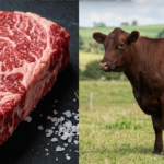 Paradoxe de la viande
